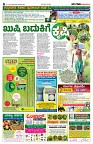 Sangama 6